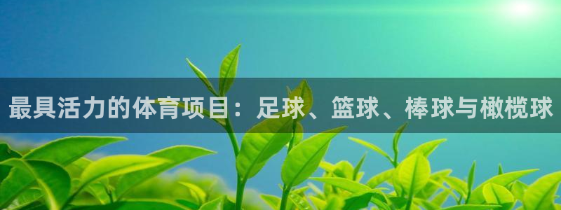 vsport体育官方正版app娱乐40996：最具活