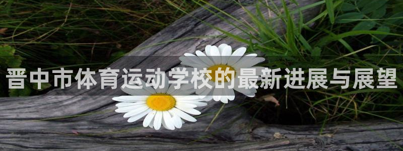 vsport体育官方正版app集团官网网址：晋中市体