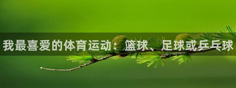vsport体育官网下载平台注册：我最喜爱的体育运动