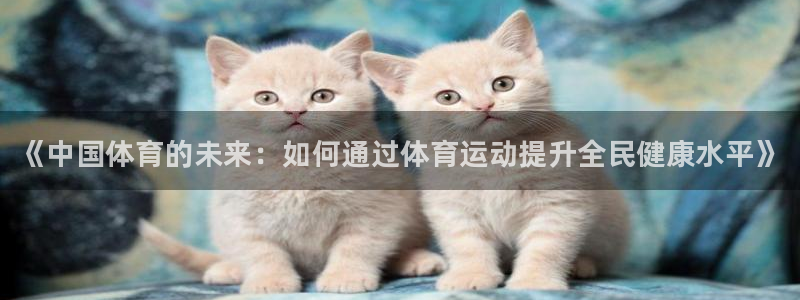 vsport体育官网下载平台注册要钱吗：《中国体育的