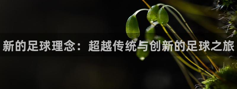 vsport体育官网下载注册：新的足球理念：超越传统