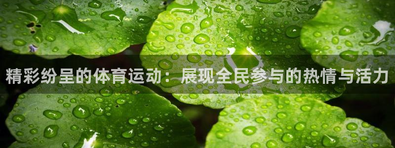 vsport体育官网下载招商电话号码是多少啊：精彩纷