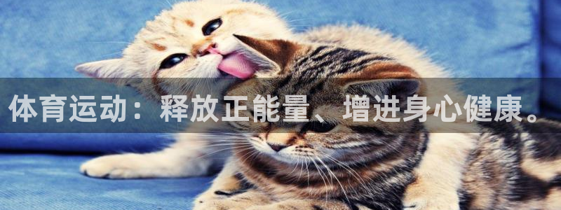 vsport体育官网下载平台是正规平台吗：体育运动：
