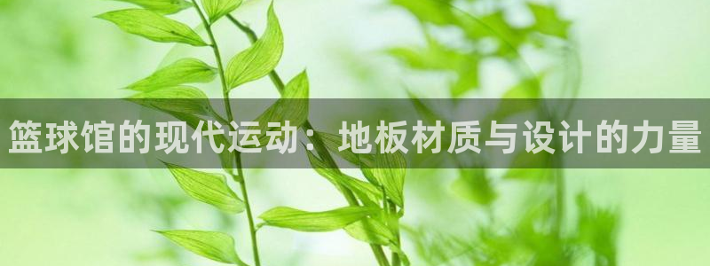 vsport体育官方正版app集团：篮球馆的现代运动：地板材