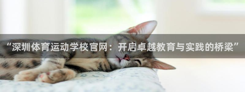 vsport体育官网下载招商电话号码查询：“深圳体育运动学校