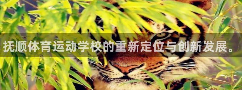 vsport体育官方正版app娱乐40996：抚顺体育运动学