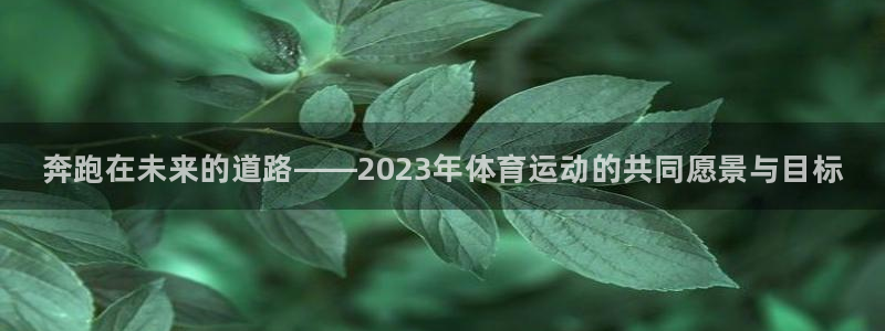 vsport体育官网下载平台是正规平台吗：奔跑在未来的道路—