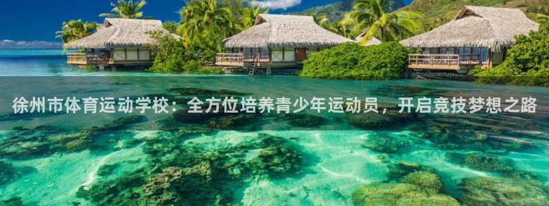注册vsport体育官方正版app：徐州市体育运动学