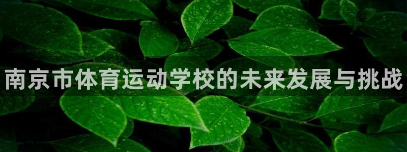 vsport体育官网下载招商电话号码查询是多少：南京市体育运