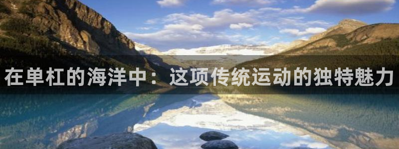vsport体育官方正版app官网：在单杠的海洋中：