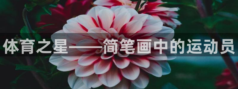 vsport体育官方正版app新能源：体育之星——简