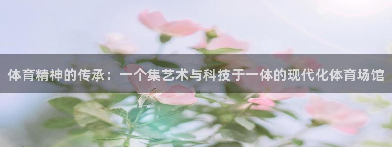 vsport体育官方正版app娱乐下载：体育精神的传
