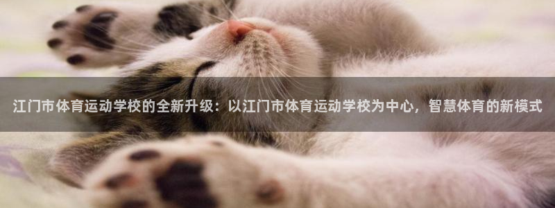 vsport体育官方正版app娱乐下载：江门市体育运