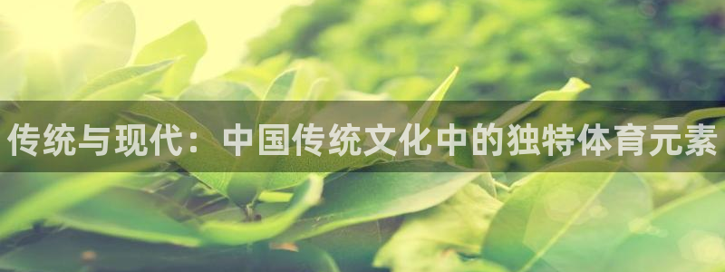 vsport体育官网下载招商电话是多少：传统与现代：