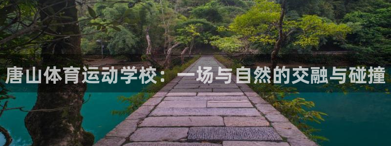 vsport体育官方正版app开户