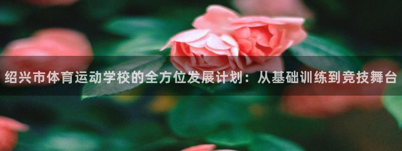 海南vsport体育官网下载发展怎么样