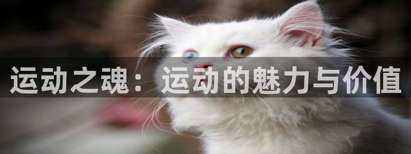 vsport体育官网下载平台注册要钱吗安全吗：运动之