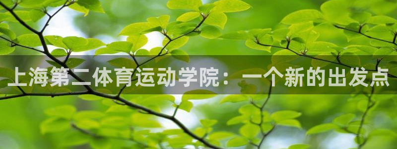 vsport体育官方正版app官方：上海第二体育运动