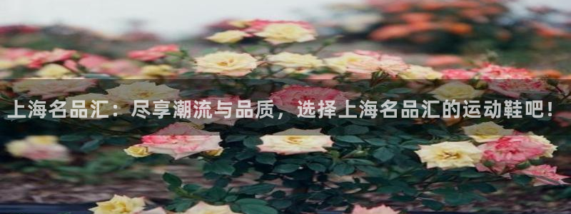 vsport体育官网下载平台是正规平台吗安全吗：上海