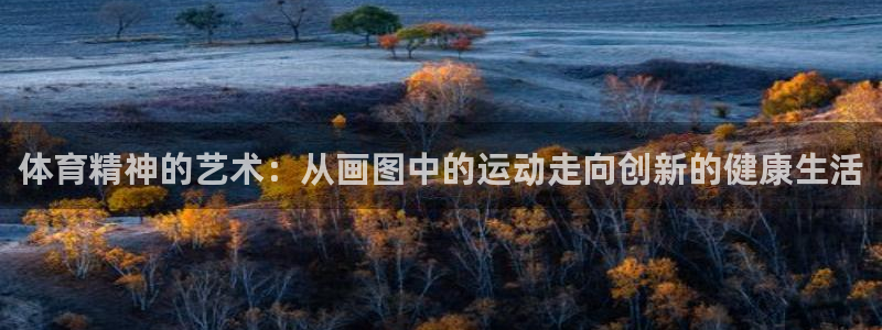 vsport体育官方正版app娱乐首页网站大全：体育精神的艺