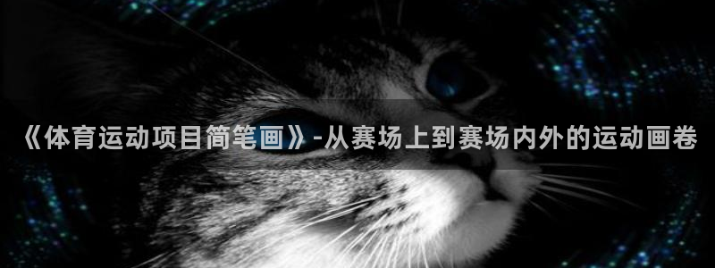 vsport体育官网下载娱乐：《体育运动项目简笔画》