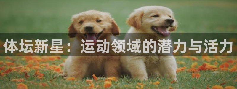 vsport体育官方正版app娱乐代理怎么样：体坛新