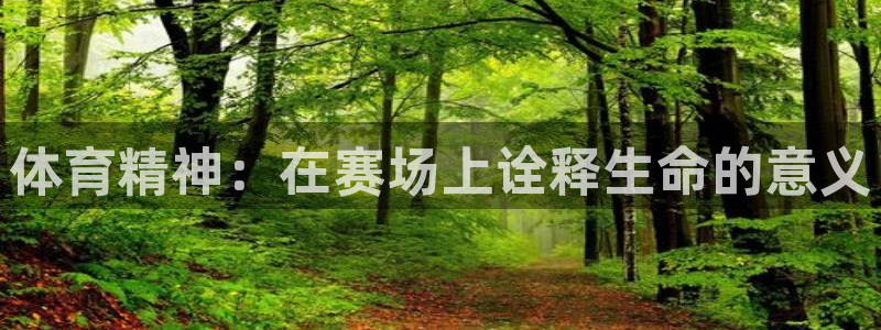 vsport体育官方正版app开户：体育精神：在赛场