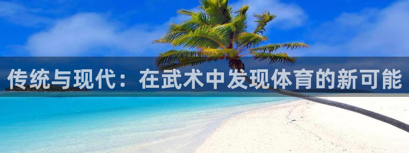vsport体育官方正版app集团：传统与现代：在武术中发现