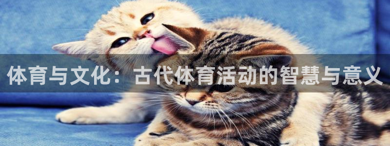 vsport体育官网下载平台注册：体育与文化：古代体