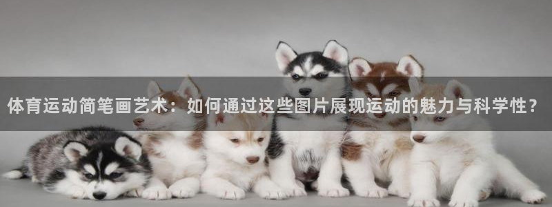 vsport体育官网下载联系电话：体育运动简笔画艺术：如何通