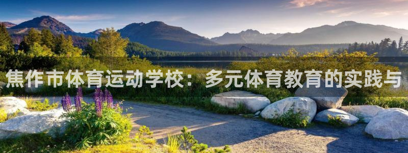 注册vsport体育官方正版app：焦作市体育运动学校：多元